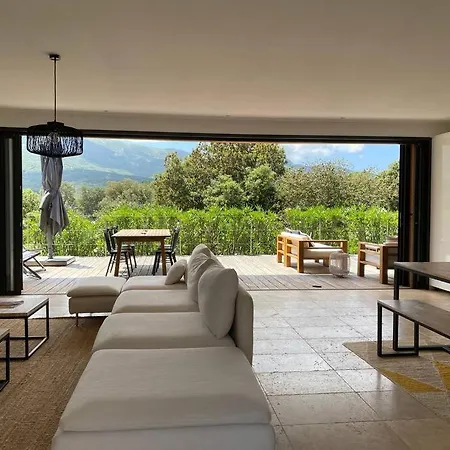 Contemporaine A 500 Metres De La !