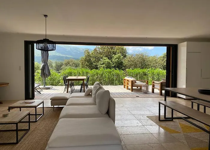 Contemporaine A 500 Metres De La !